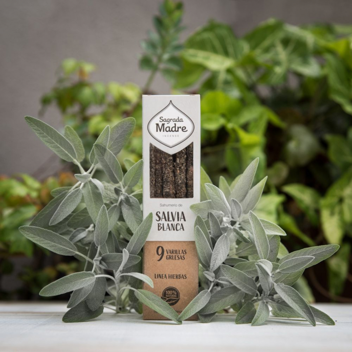 Salvia suitsuketikut 9kpl ryhmässä Koti & Sielu / Rituaali & Seremonia / Suitsuke, Kynttilät & Tuoksut @ Rawfoodshop Scandinavia AB (23-01)