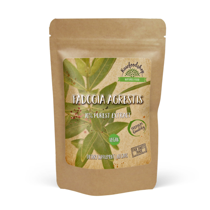 Fadogia Agrestis Extract 500mg 60 kapselia ryhmässä Ravintolisät / Yrtit ja Kasvit / Yrtit @ Rawfoodshop Scandinavia AB (CAPFAD60)